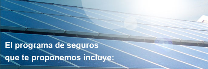 El programa de seguros que te proponemos incluye: