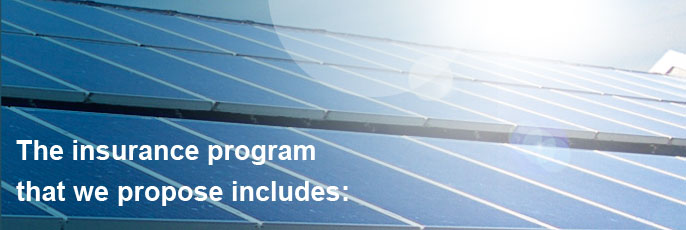 The insurance program that we propose includes:
